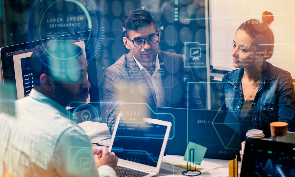 Modernization of IT Infrastructure – Industrija Mesa Nedeljković